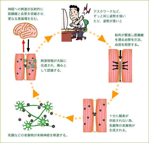 ストレッチの効果