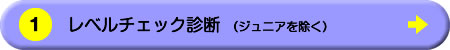 レベルチェック診断